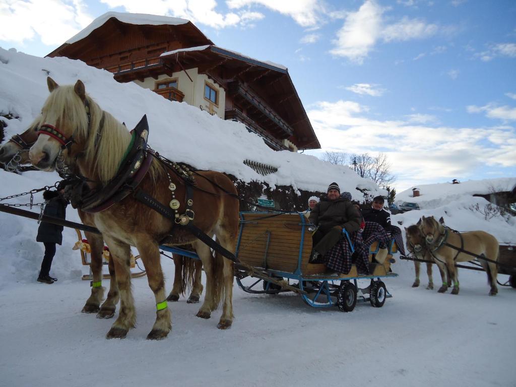 Hotel Sporthof Schladming Eksteriør billede